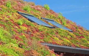 Lawnhead living roof systems