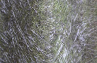 Lawnhead fibreglass roof work